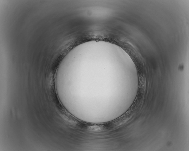 X0000097470511200802220832