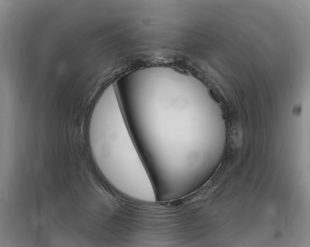 X0000097470512200802220832