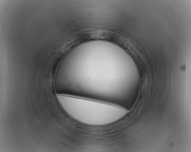 X0000097470513200802220832