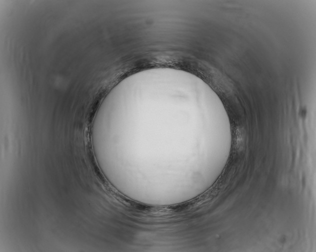 X0000097470514200802220832