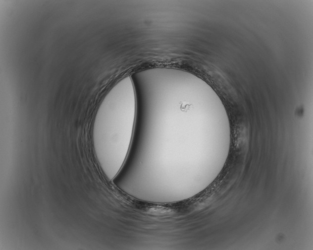 X0000097470515200802220832