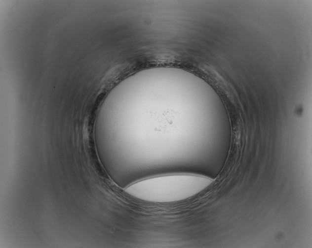 X0000097470516200802220832