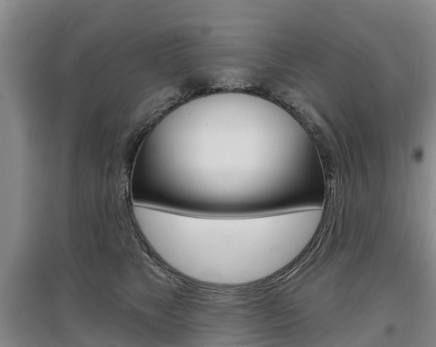 X0000097470517200802220832