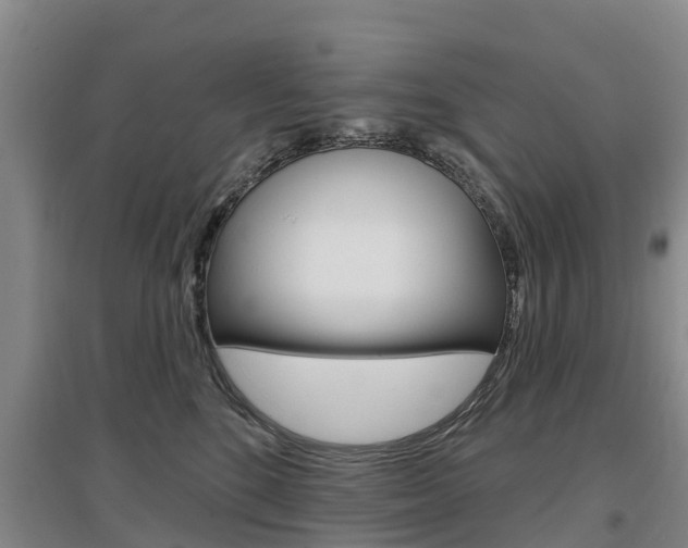 X0000097470520200802220832