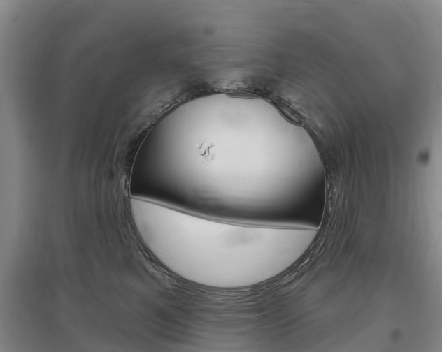 X0000097470521200802220832