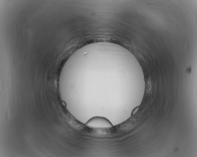 X0000097470522200802220832
