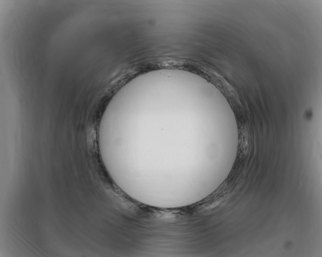 X0000097470523200802220832