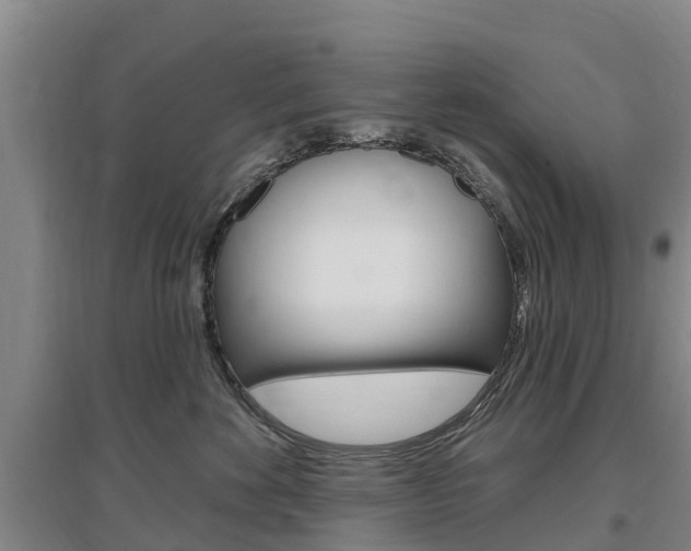 X0000097470524200802220832