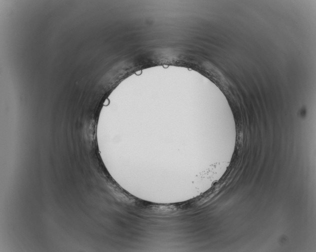 X0000097470525200802220832