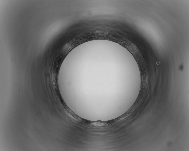 X0000097470526200802220832