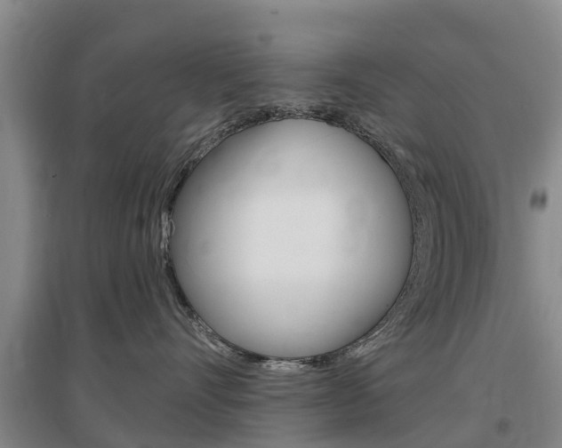 X0000097470528200802220832