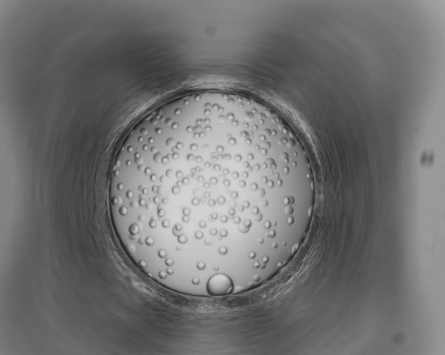 X0000097470529200802220831