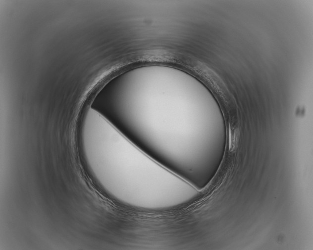 X0000097470531200802220831