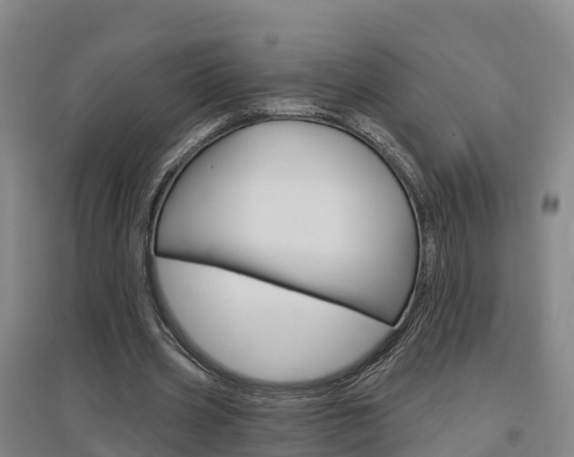 X0000097470533200802220831