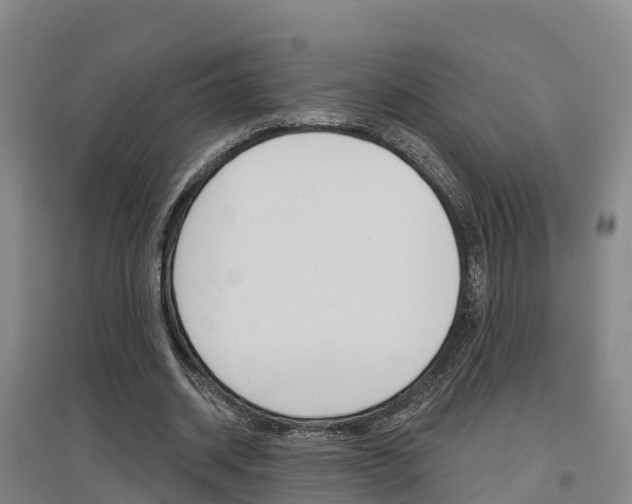 X0000097470534200802220831