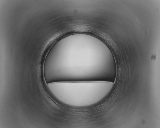 X0000097470535200802220831