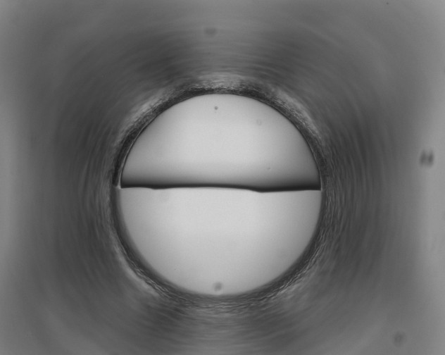 X0000097470538200802220831