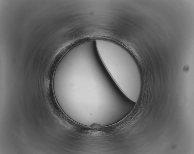 X0000097470539200802220831