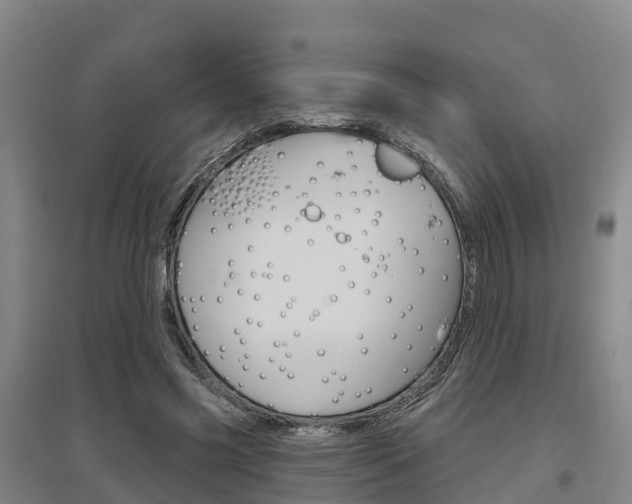 X0000097470541200802220831