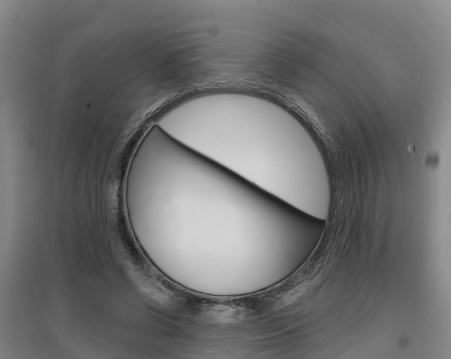 X0000097470542200802220831