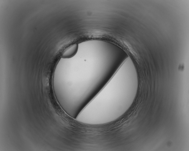 X0000097470543200802220831