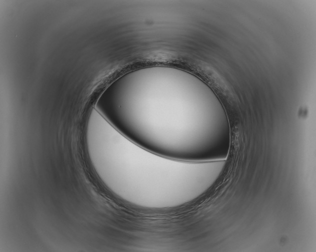 X0000097470544200802220831