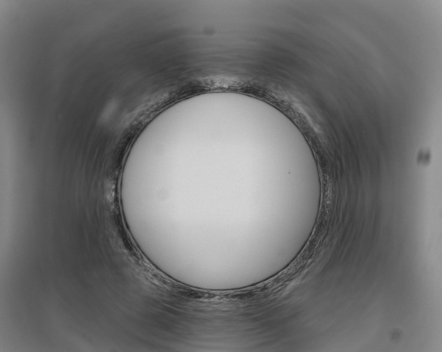 X0000097470545200802220831
