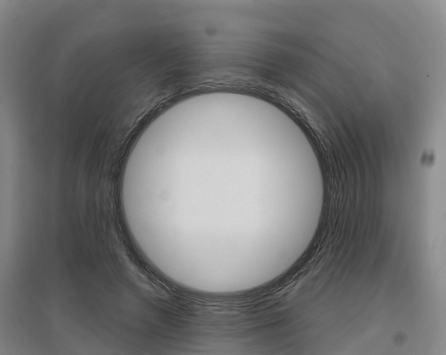 X0000097470546200802220831