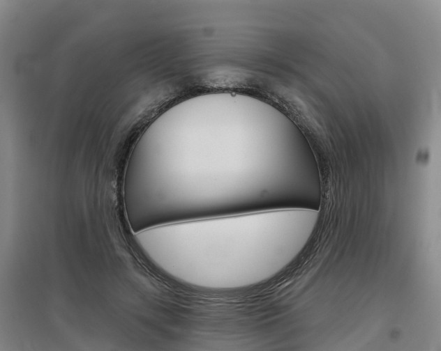 X0000097470547200802220831