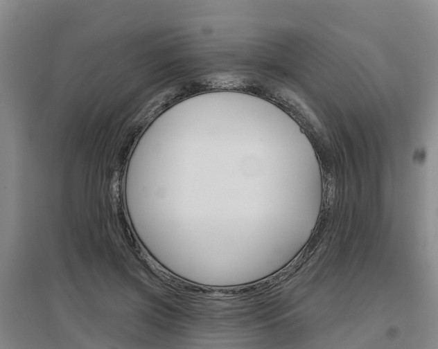X0000097470549200802220831
