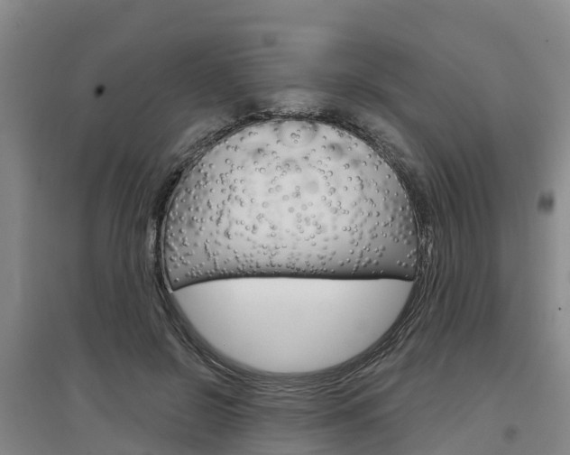X0000097470550200802220831