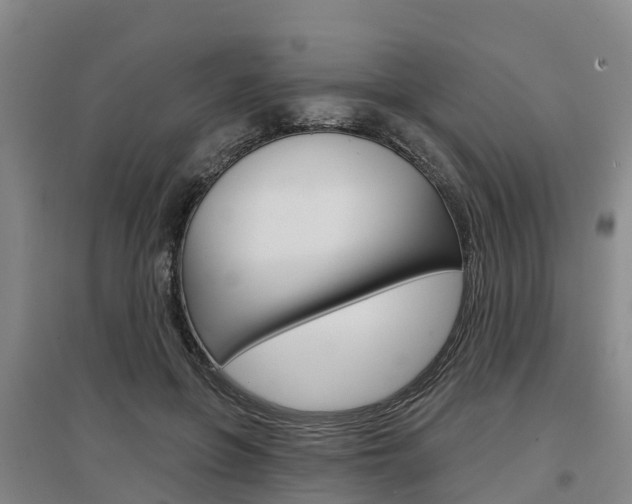 X0000097470551200802220831