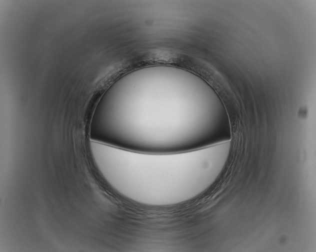 X0000097470552200802220831