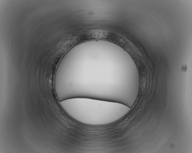 X0000097470553200802220831