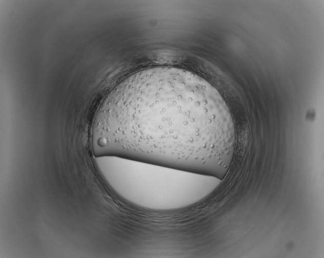 X0000097470554200802220831