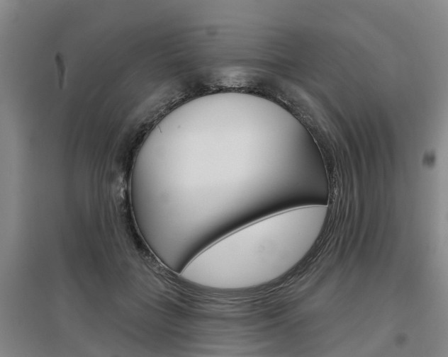 X0000097470555200802220831