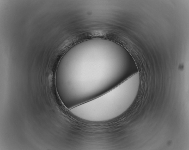 X0000097470556200802220831