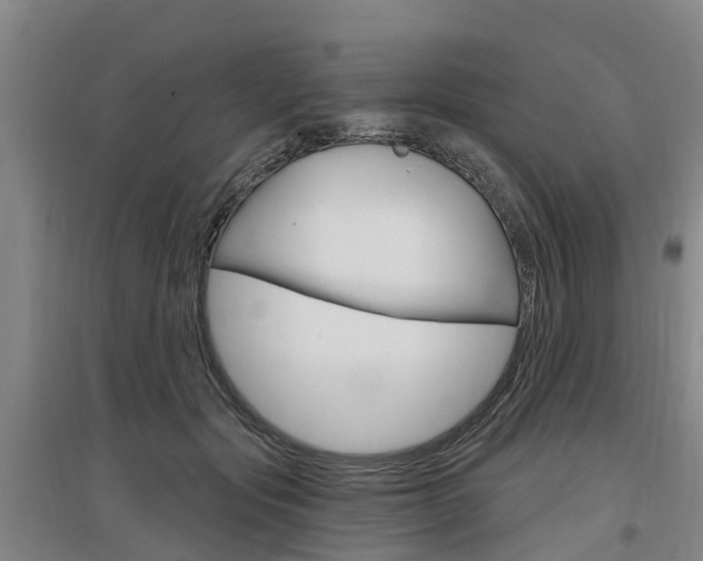 X0000097470557200802220831