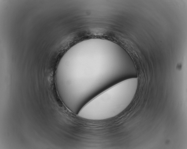 X0000097470559200802220831