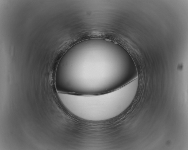 X0000097470560200802220831