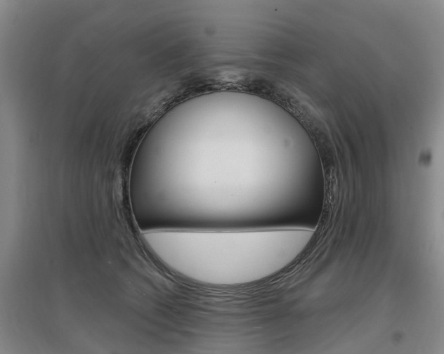 X0000097470562200802220832