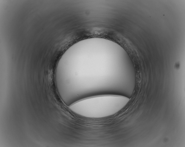 X0000097470563200802220832