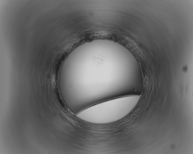 X0000097470564200802220832