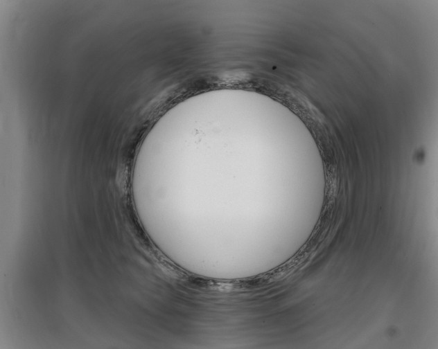 X0000097470565200802220832