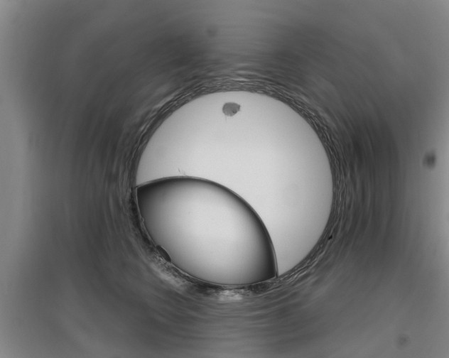 X0000097470566200802220832