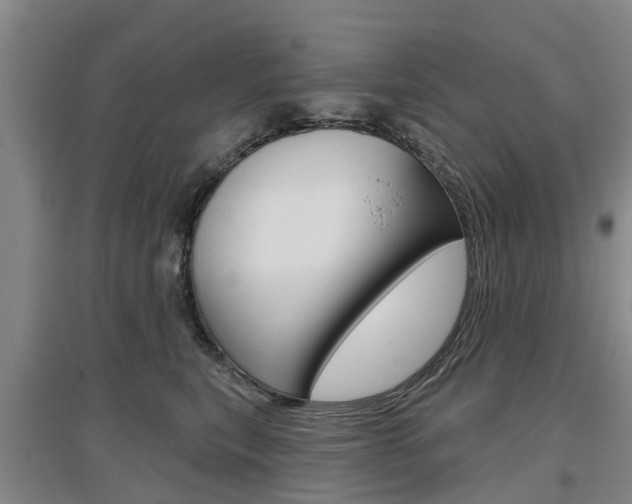 X0000097470567200802220832