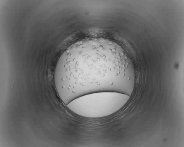 X0000097470569200802220832