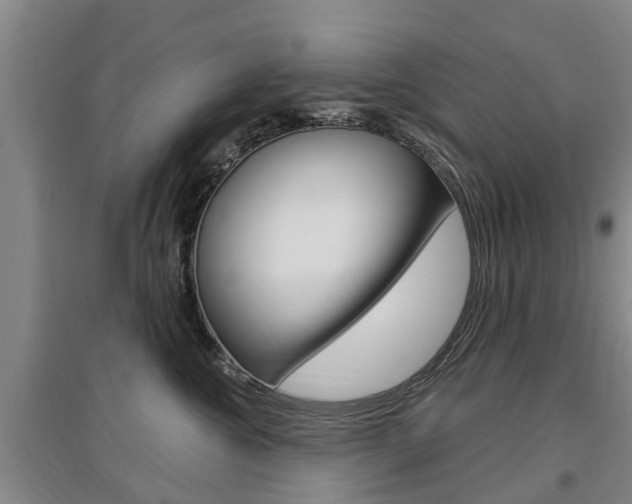 X0000097470572200802220832