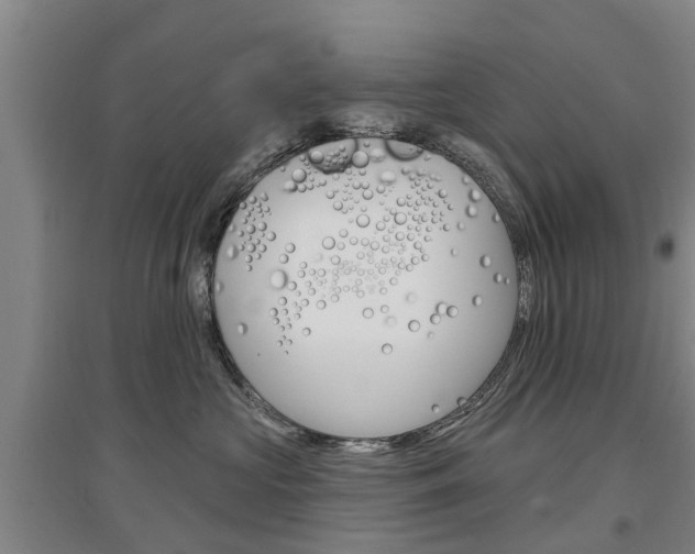 X0000097470573200802220832