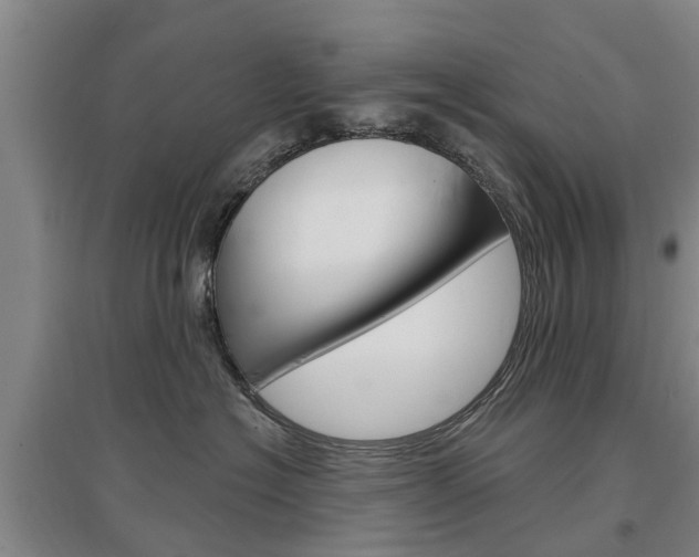 X0000097470574200802220832